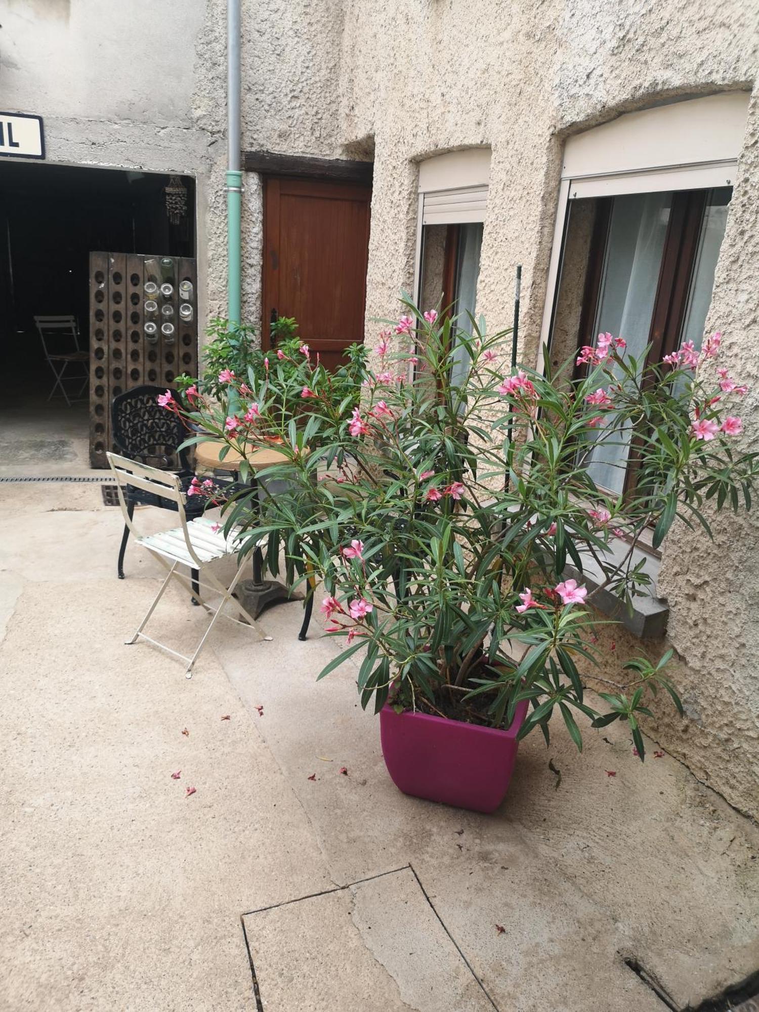 Cottage Au Terminus Hautvillers Ngoại thất bức ảnh